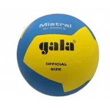 М'яч волейбольний GALA Mistral 10 BV5665S