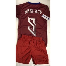 Футбольна форма дитяча Nike Норвегія 2024 Haaland 9 Футбольна форма дитяча Nike Норвегія 2024 Haaland 9