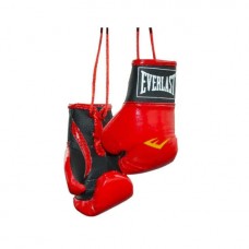 Боксерські рукавиці сувенірні Everlast