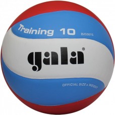 М'яч волейбольний GALA Traning BV5561S