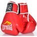 Боксерські рукавички Everlast 