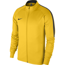 Олімпійка Nike Academy 18 Track Jacket 893701